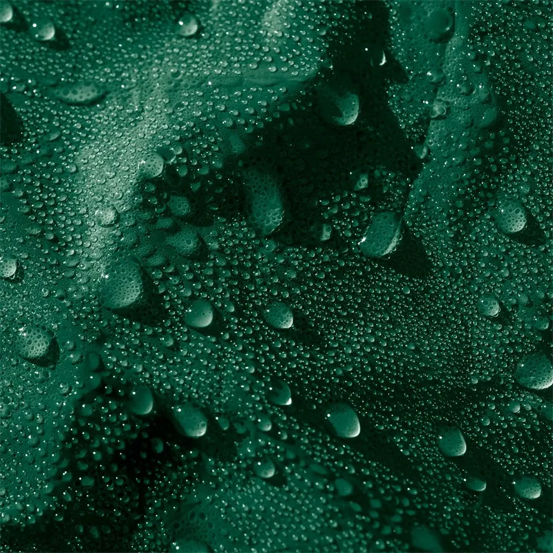 Dekzeil met ogen 4x7 m 650 g/m² met 10 elastische banden Groen gemaakt van PVC