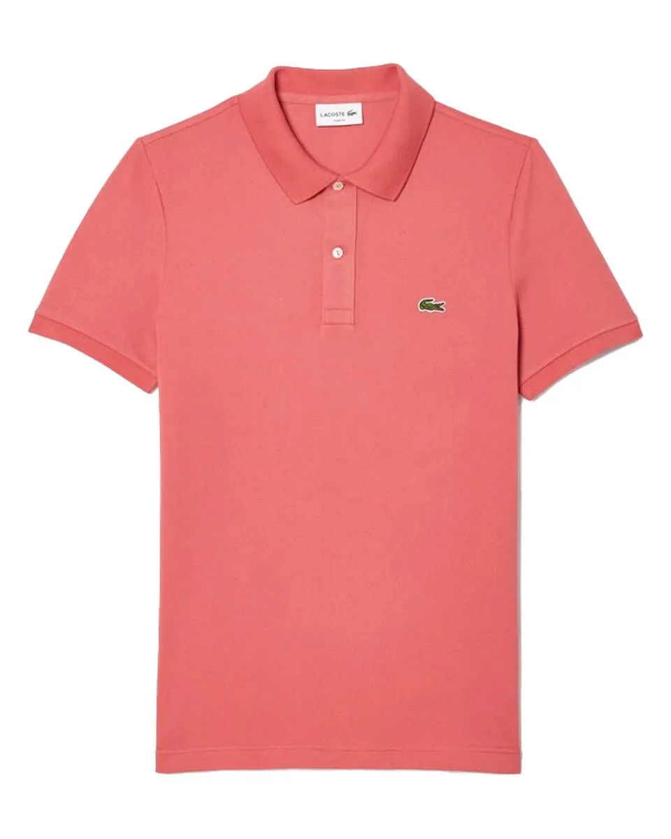 Lacoste    Polo